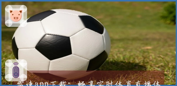 雷速app下载：畅享实时体育直播体验，了解新功能与使用技巧