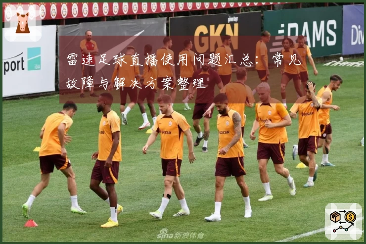 雷速足球直播使用问题汇总：常见故障与解决方案整理